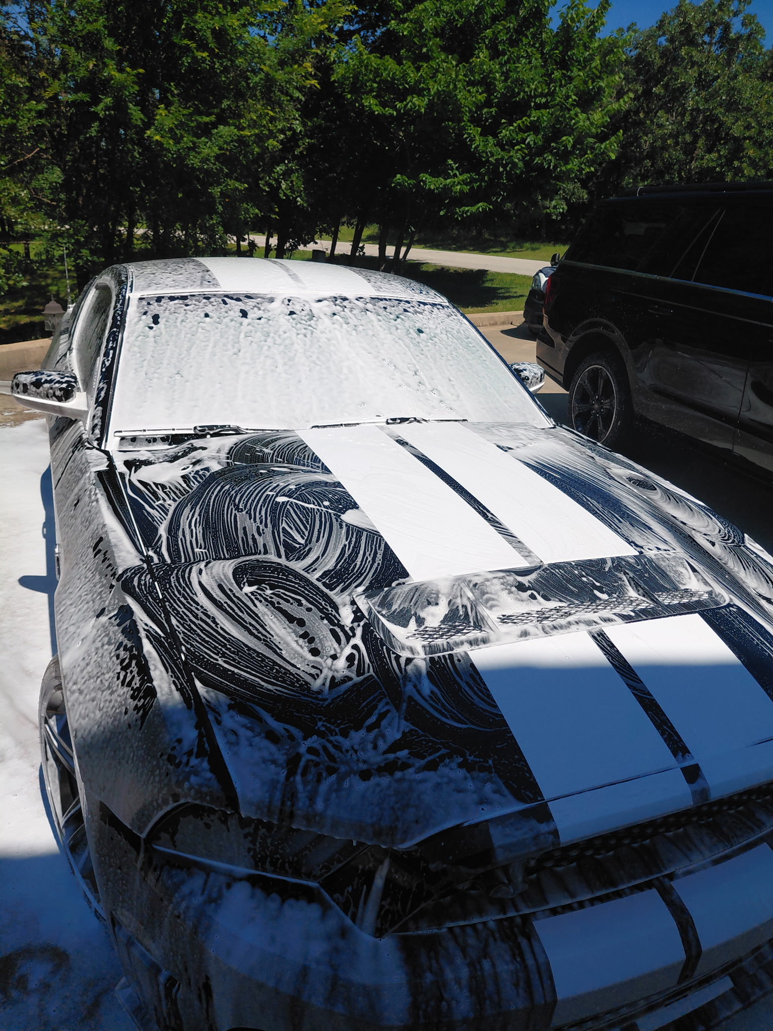 Mustang exterior hand wash